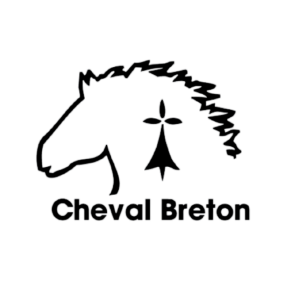 CHEVAL DE TRAIT BRETON
